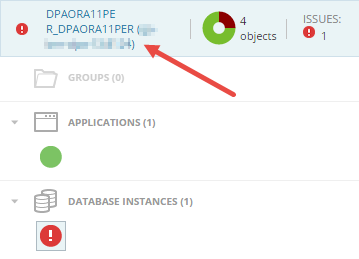 Database instances in the AppStack environment with DPAIM