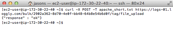 file-upload-terminal