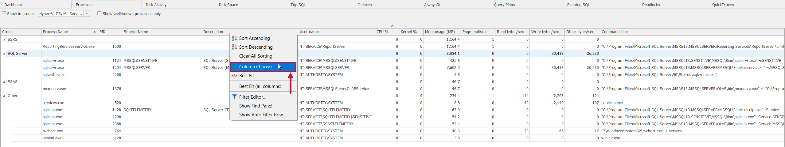 SQL Sentry Processes tab Column Chooser context menu Version 2021.12 Processes tab Column Chooser context menu