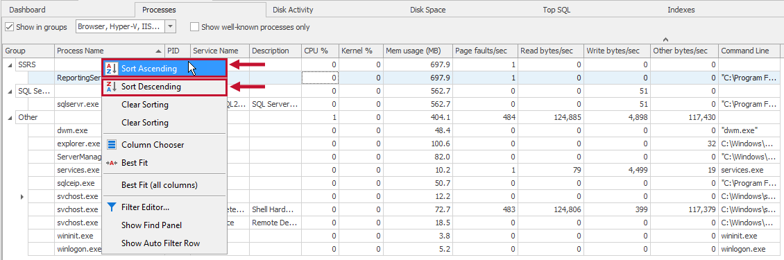 SQL Sentry Data Grids & Filters