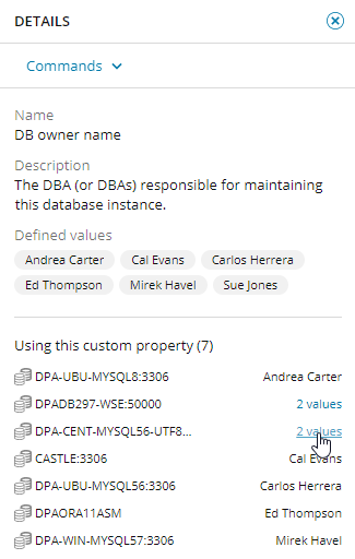 Details pane showing the name, description, defined values, and values assigned to DB instances.
